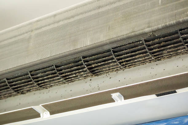 Best HVAC Duct Inspection Services  in Crown Pot, IN